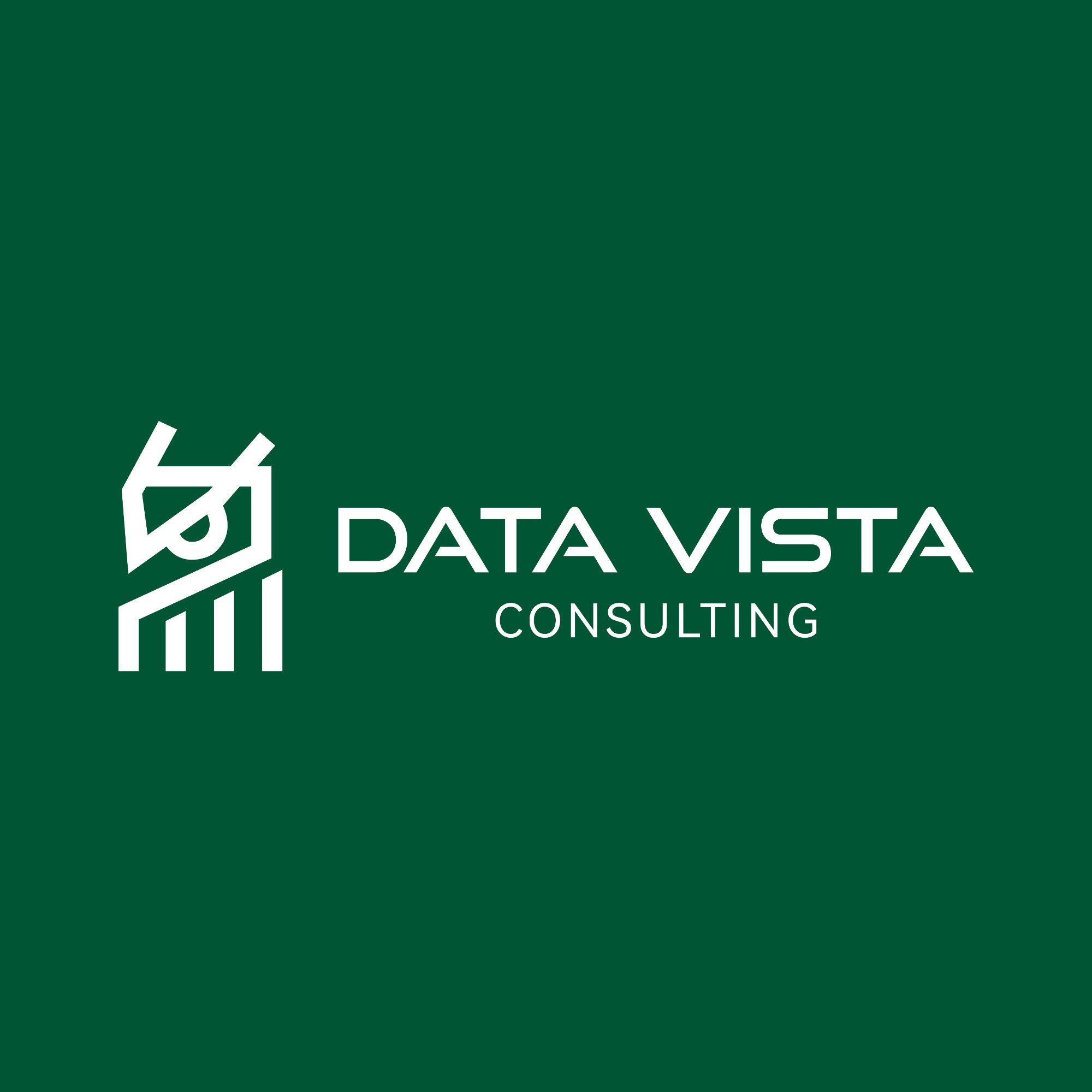 Data Vista Consulting